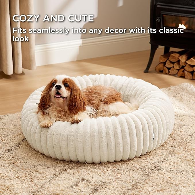 product-679-679 product-679-679